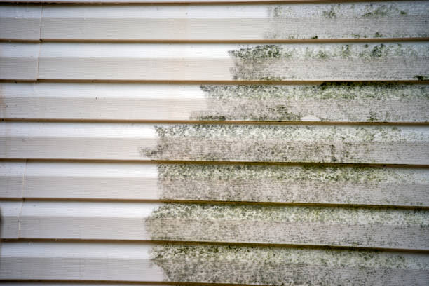 Affordable Siding Repair and Maintenance Services in Iselin, NJ